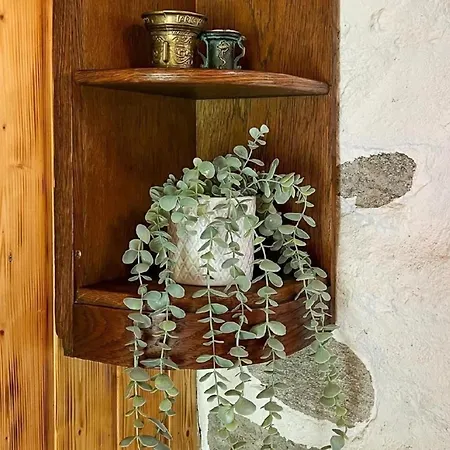 Tatil Evi Urspruengliches Rustico Mit Blick Auf Maggiatal